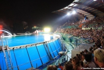 IMAGINE et Nuit d’Orient – Marineland montre ses orques et dauphins en nocturne