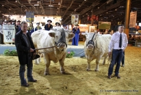 Salon de l’Agriculture 2010 – Zoo et animations pour enfants et politiques?