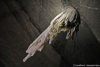 Grotte de Doolin : la plus longue stalactite de l’hémisphère nord est en Irlande
