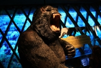 Tarzan, l’exposition rugissante au Musée du Quai Branly