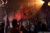 Dinovotion – visite guidée de la nouvelle attraction d’Amnéville-les-Thermes