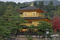 Kinkaku-ji : le temple du Pavillon d’Or de Kyoto