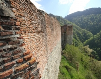 Le château de Dracula au cœur des Carpates : la citadelle de Poenari