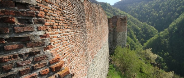 Le château de Dracula au cœur des Carpates : la citadelle de Poenari